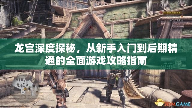 龙宫深度探秘，从新手入门到后期精通的全面游戏攻略指南