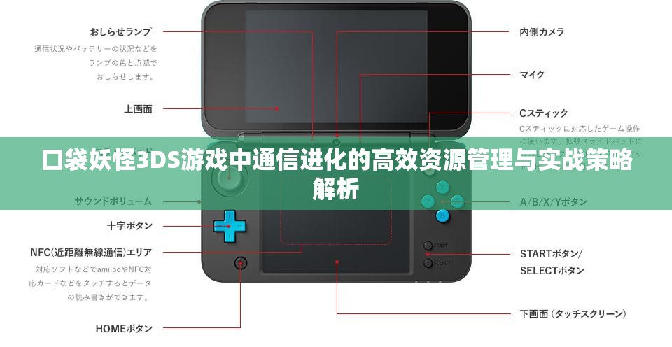 口袋妖怪3DS游戏中通信进化的高效资源管理与实战策略解析