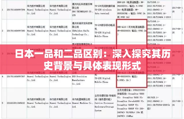 日本一品和二品区别：深入探究其历史背景与具体表现形式