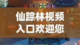 仙踪林视频入口欢迎您：开启精彩视觉之旅的通道