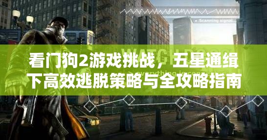 看门狗2游戏挑战，五星通缉下高效逃脱策略与全攻略指南