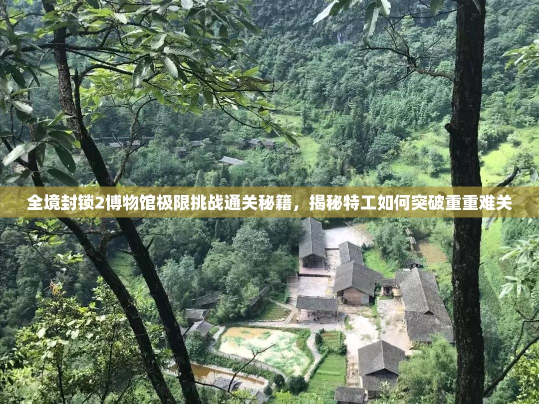 全境封锁2博物馆极限挑战通关秘籍，揭秘特工如何突破重重难关