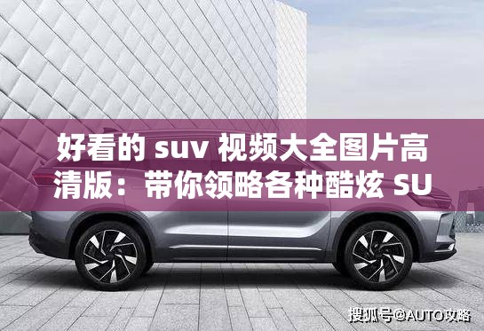 好看的 suv 视频大全图片高清版：带你领略各种酷炫 SUV 风采