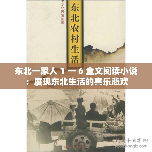 东北一家人 1 一 6 全文阅读小说：展现东北生活的喜乐悲欢