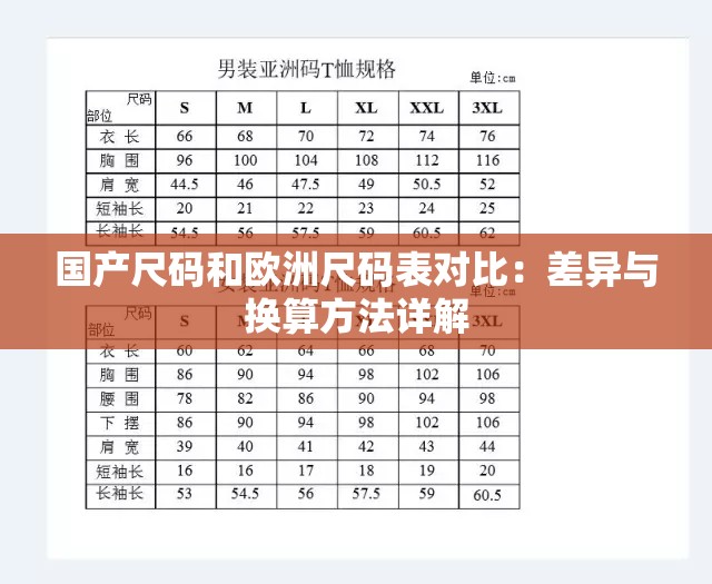 国产尺码和欧洲尺码表对比：差异与换算方法详解