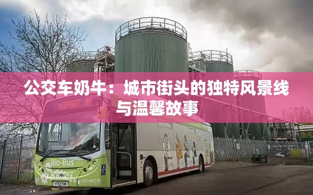 公交车奶牛：城市街头的独特风景线与温馨故事