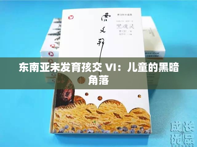 东南亚未发育孩交 VI：儿童的黑暗角落