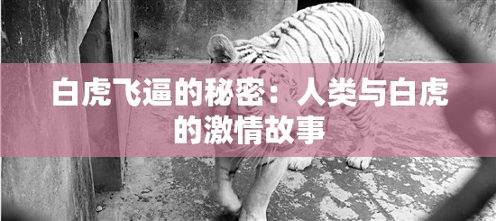 白虎飞逼的秘密：人类与白虎的激情故事