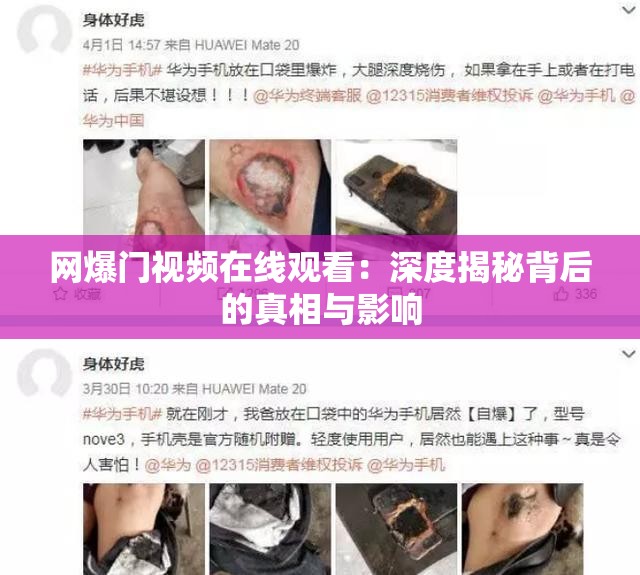 网爆门视频在线观看：深度揭秘背后的真相与影响