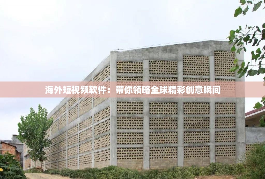 海外短视频软件：带你领略全球精彩创意瞬间