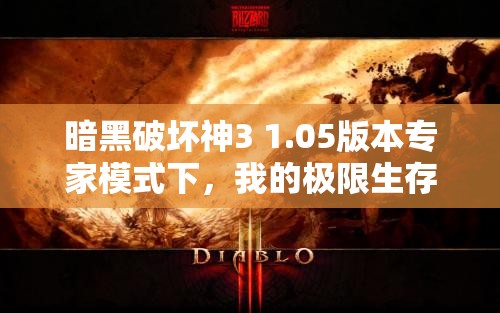 暗黑破坏神3 1.05版本专家模式下，我的极限生存挑战与智慧策略解析