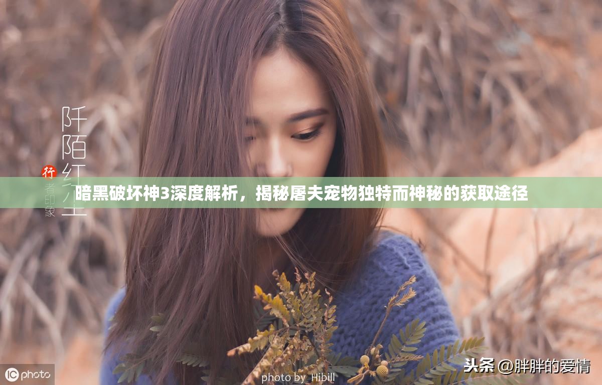 暗黑破坏神3深度解析，揭秘屠夫宠物独特而神秘的获取途径