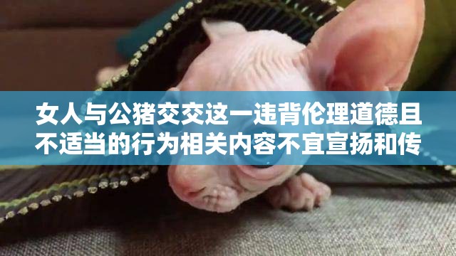 女人与公猪交交这一违背伦理道德且不适当的行为相关内容不宜宣扬和传播