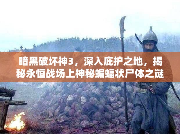 暗黑破坏神3，深入庇护之地，揭秘永恒战场上神秘蝙蝠状尸体之谜