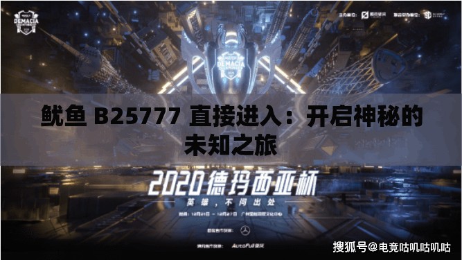 鱿鱼 B25777 直接进入：开启神秘的未知之旅