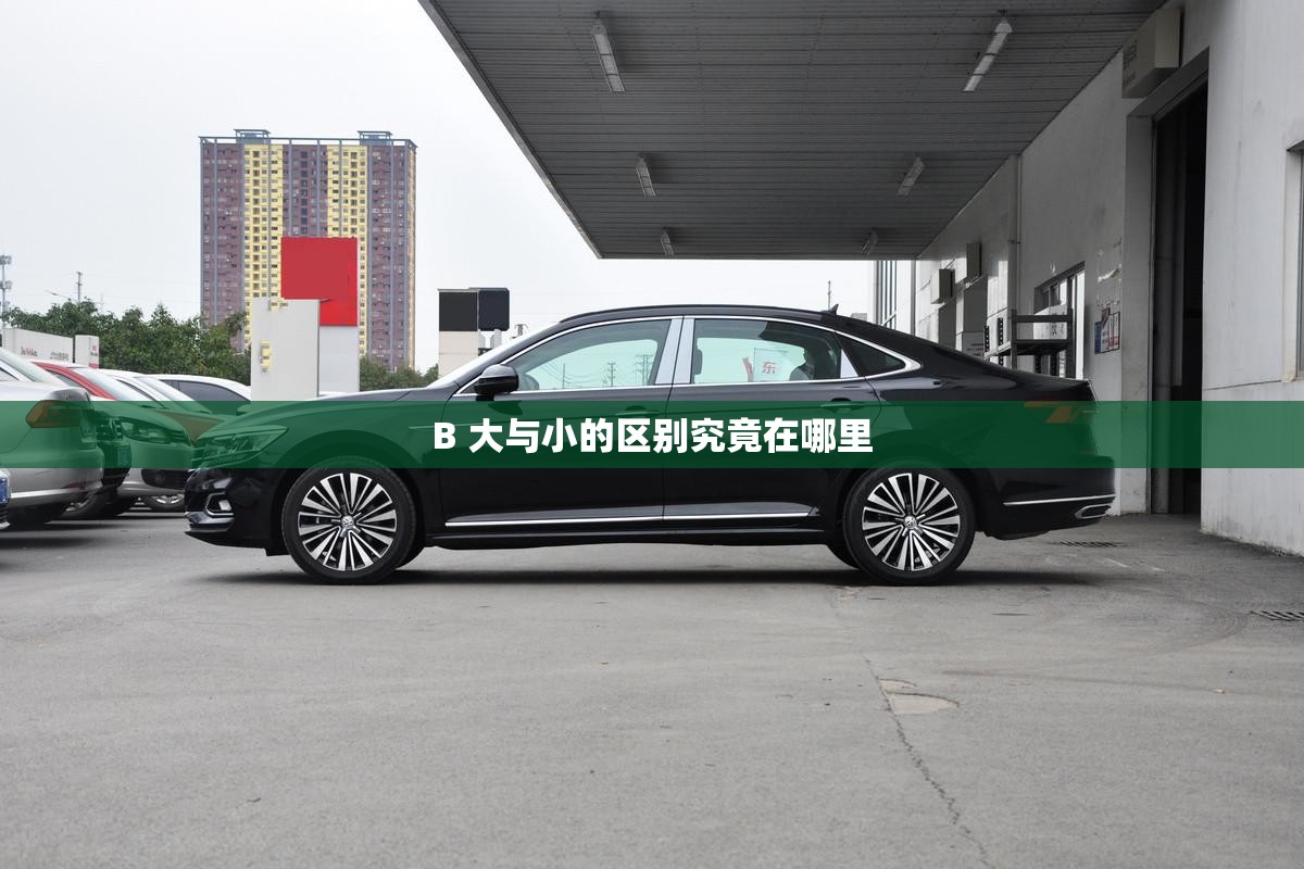 B 大与小的区别究竟在哪里