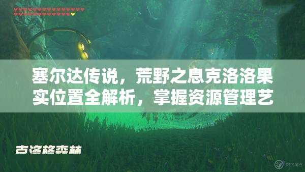 塞尔达传说，荒野之息克洛洛果实位置全解析，掌握资源管理艺术的关键