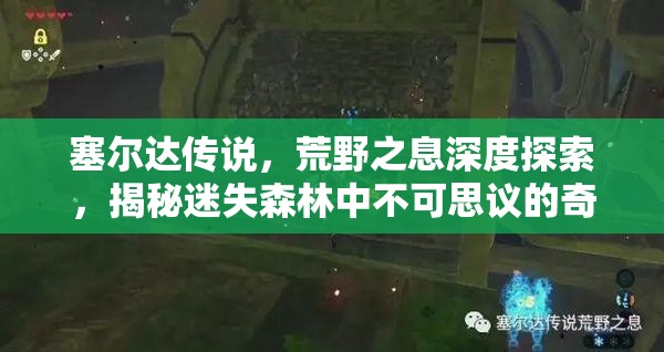 塞尔达传说，荒野之息深度探索，揭秘迷失森林中不可思议的奇幻冒险之旅