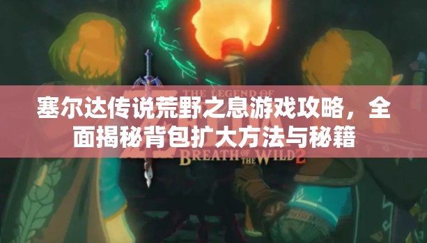 塞尔达传说荒野之息游戏攻略，全面揭秘背包扩大方法与秘籍