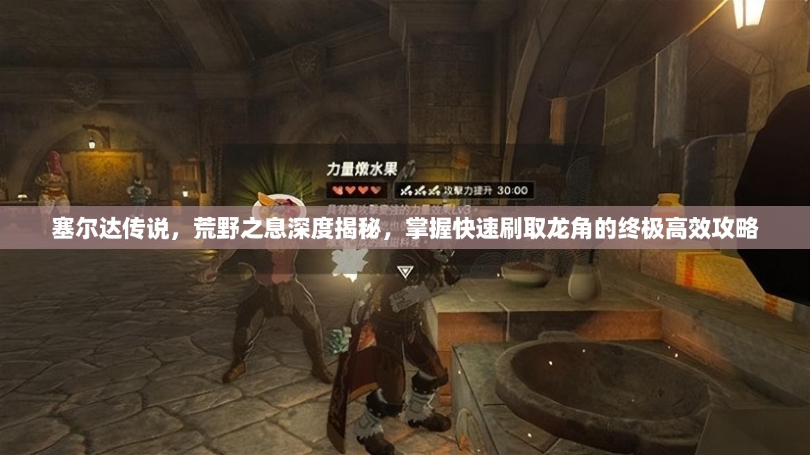 塞尔达传说，荒野之息深度揭秘，掌握快速刷取龙角的终极高效攻略