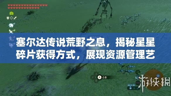 塞尔达传说荒野之息，揭秘星星碎片获得方式，展现资源管理艺术精髓
