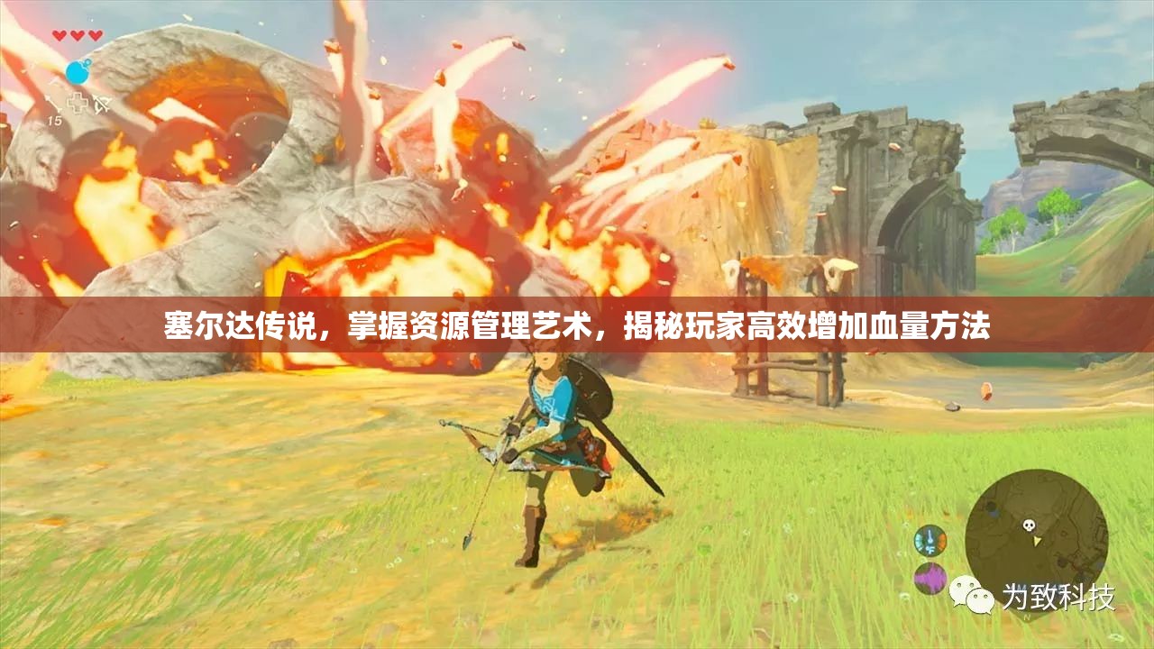 塞尔达传说，掌握资源管理艺术，揭秘玩家高效增加血量方法
