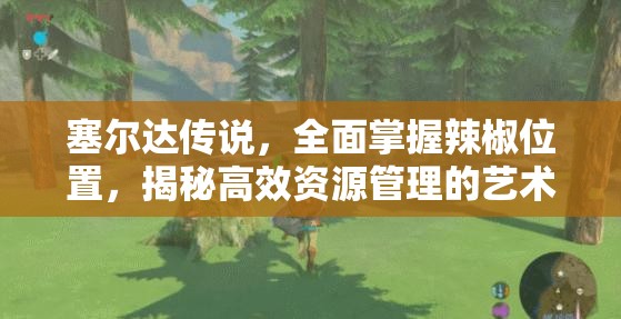 塞尔达传说，全面掌握辣椒位置，揭秘高效资源管理的艺术技巧