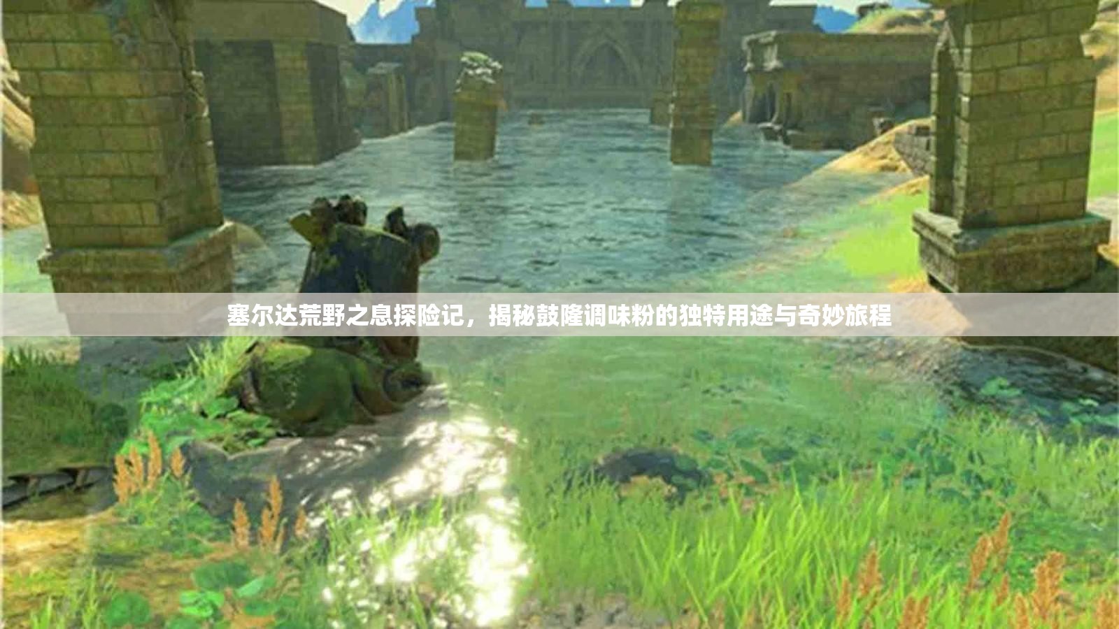 塞尔达荒野之息探险记，揭秘鼓隆调味粉的独特用途与奇妙旅程