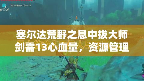塞尔达荒野之息中拔大师剑需13心血量，资源管理技巧与避免浪费以最大化游戏价值