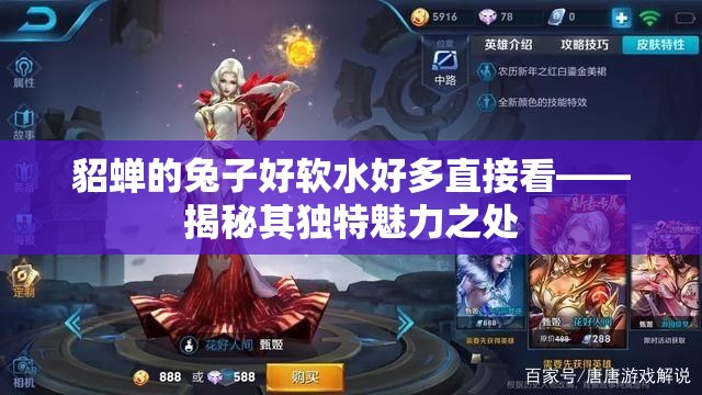 貂蝉的兔子好软水好多直接看——揭秘其独特魅力之处