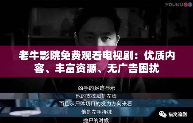 老牛影院免费观看电视剧：优质内容、丰富资源、无广告困扰