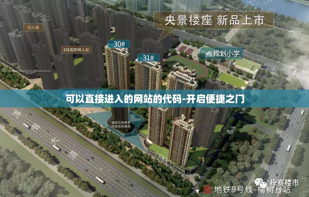 可以直接进入的网站的代码-开启便捷之门