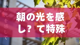 朝の光を感し？て特殊调弦：音乐与心灵的奇妙交融