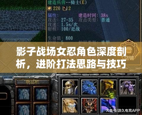 影子战场女忍角色深度剖析，进阶打法思路与技巧全解析