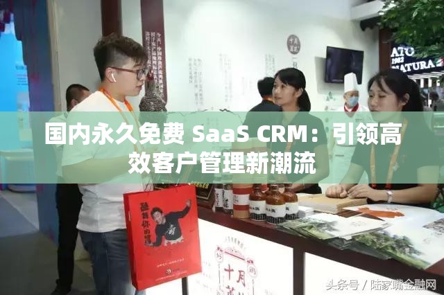 国内永久免费 SaaS CRM：引领高效客户管理新潮流
