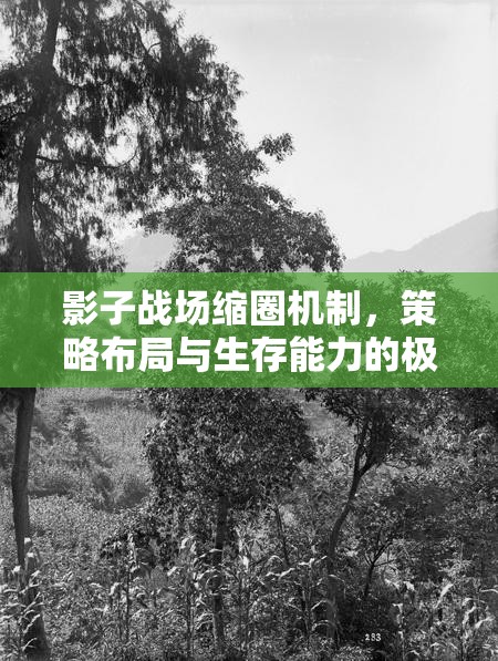 影子战场缩圈机制，策略布局与生存能力的极限双重考验