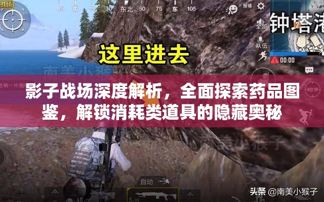 影子战场深度解析，全面探索药品图鉴，解锁消耗类道具的隐藏奥秘