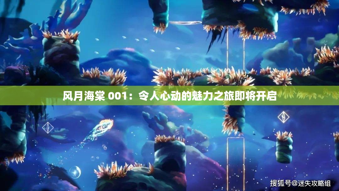 风月海棠 001：令人心动的魅力之旅即将开启