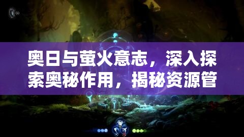 奥日与萤火意志，深入探索奥秘作用，揭秘资源管理的精妙艺术