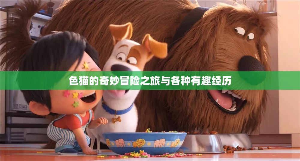 色猫的奇妙冒险之旅与各种有趣经历