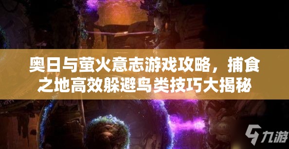奥日与萤火意志游戏攻略，捕食之地高效躲避鸟类技巧大揭秘