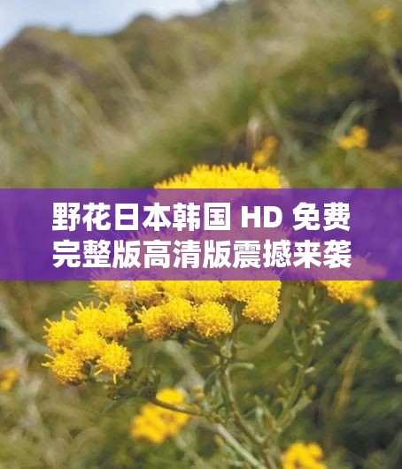 野花日本韩国 HD 免费完整版高清版震撼来袭不容错过