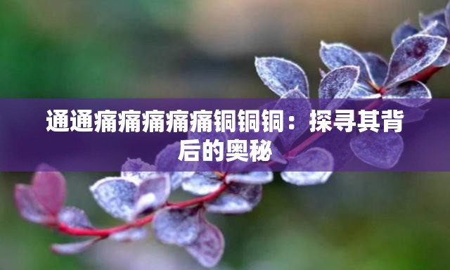 通通痛痛痛痛痛铜铜铜：探寻其背后的奥秘