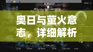 奥日与萤火意志，详细解析锤子获取攻略及其在资源管理中的核心作用