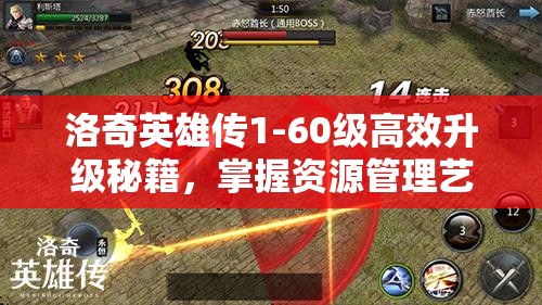 洛奇英雄传1-60级高效升级秘籍，掌握资源管理艺术，实现全速成长