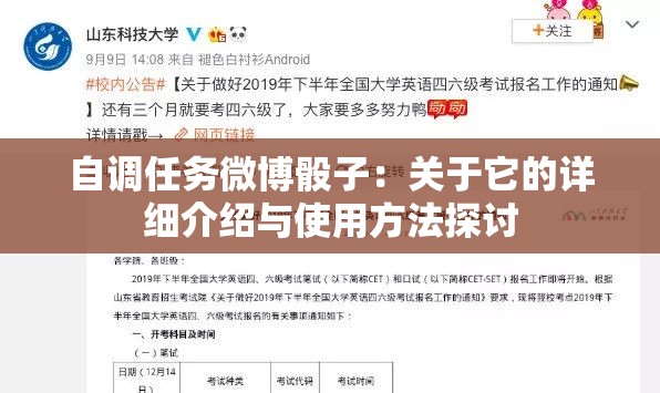自调任务微博骰子：关于它的详细介绍与使用方法探讨