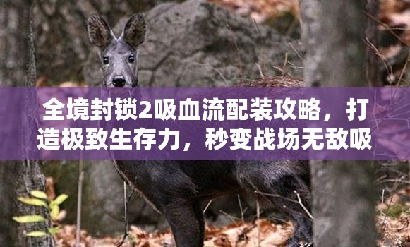全境封锁2吸血流配装攻略，打造极致生存力，秒变战场无敌吸血鬼