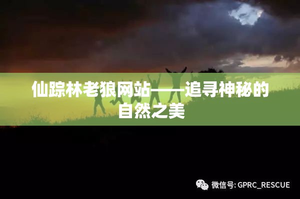 仙踪林老狼网站——追寻神秘的自然之美
