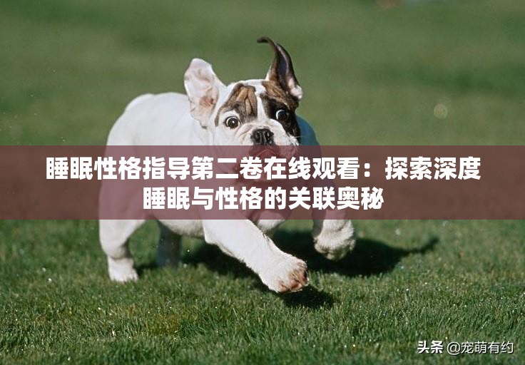 睡眠性格指导第二卷在线观看：探索深度睡眠与性格的关联奥秘