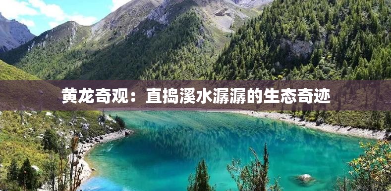 黄龙奇观：直捣溪水潺潺的生态奇迹